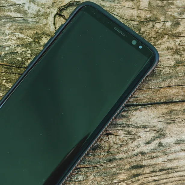 Phone IoT Devices