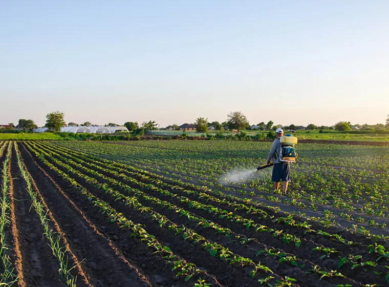 Chemical Regulatory Support in the US 
