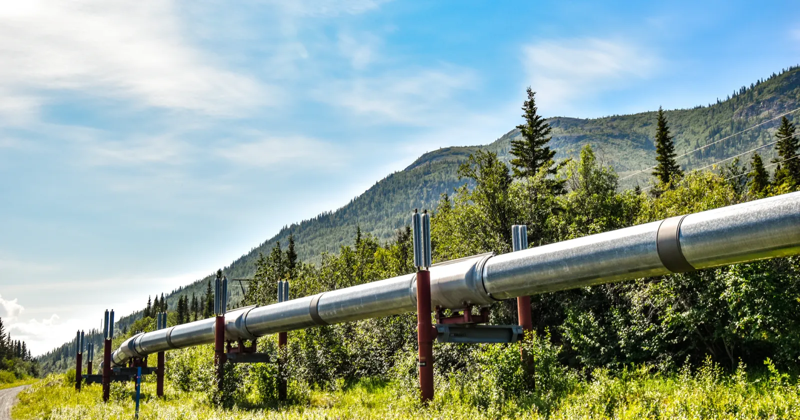 Oil transporting